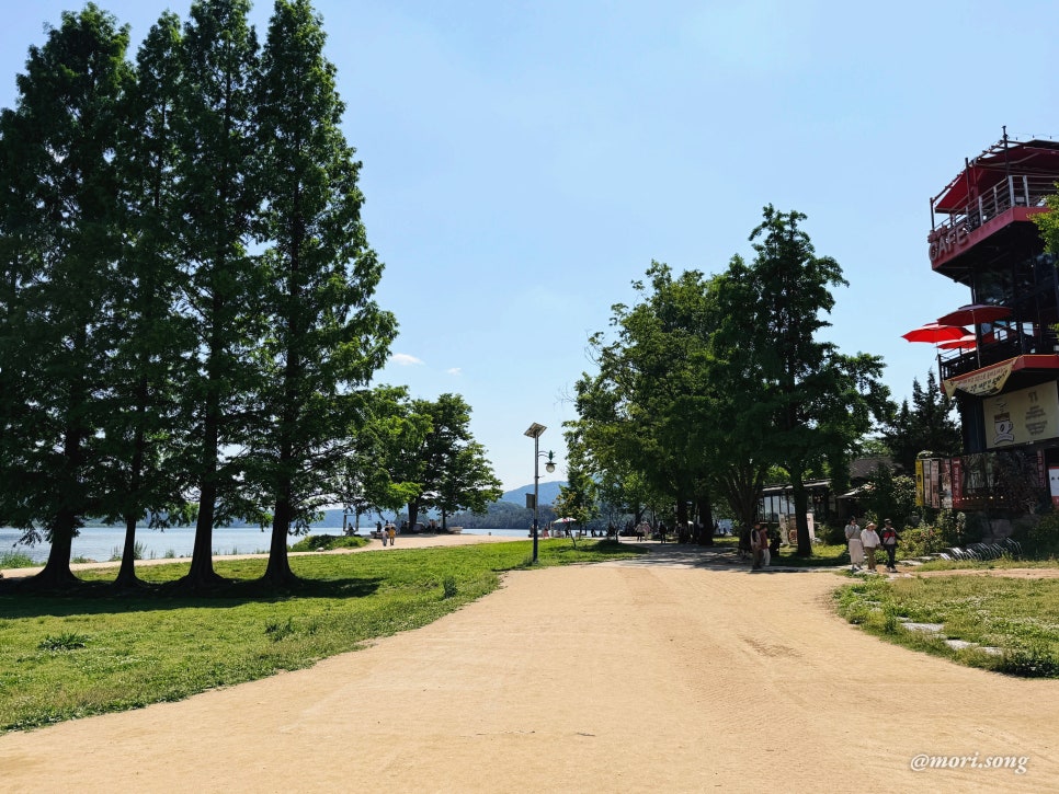 두물머리쌀국수 사진 3