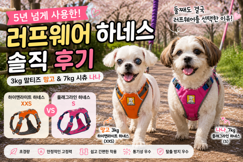 5년 넘게 사용한 러프웨어 하네스, 나나도 결국 러프웨어를 선택한 이유