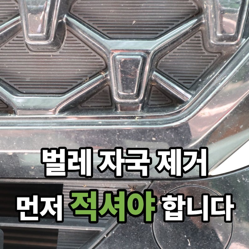 자동차 벌레 자국 간단하게 제거하는 방법 | 먼저 적셔야 합니다