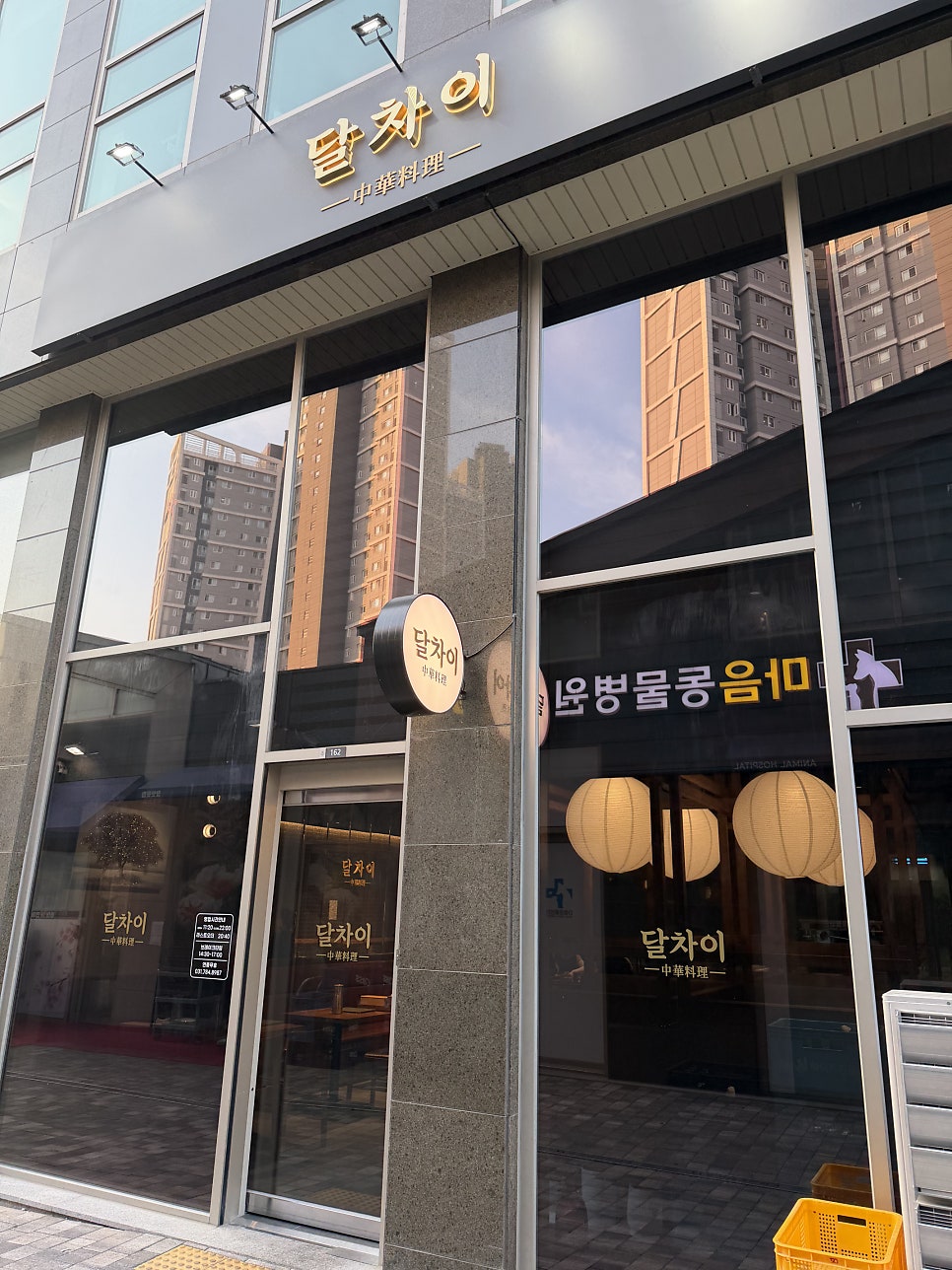 달차이 사진 3