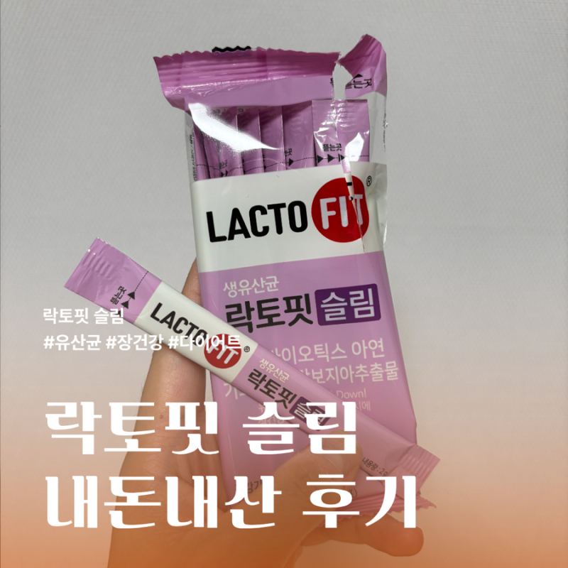 락토핏 슬림60포 유산균 효과는? 내돈내산 후기