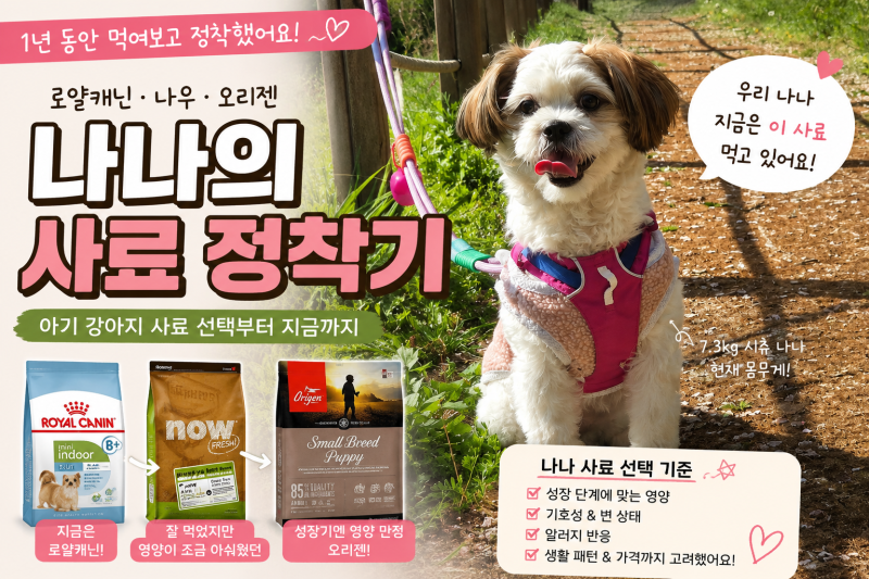 강아지 사료 정착기, 로얄캐닌부터 오리젠까지 먹여본 솔직 후기