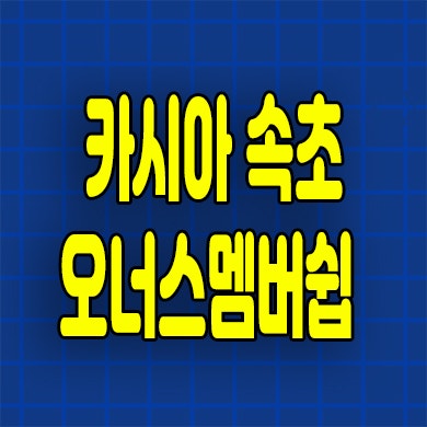  반얀트리 카시아 속초 리조트 회원권 오너스 멤버쉽 분양 모집