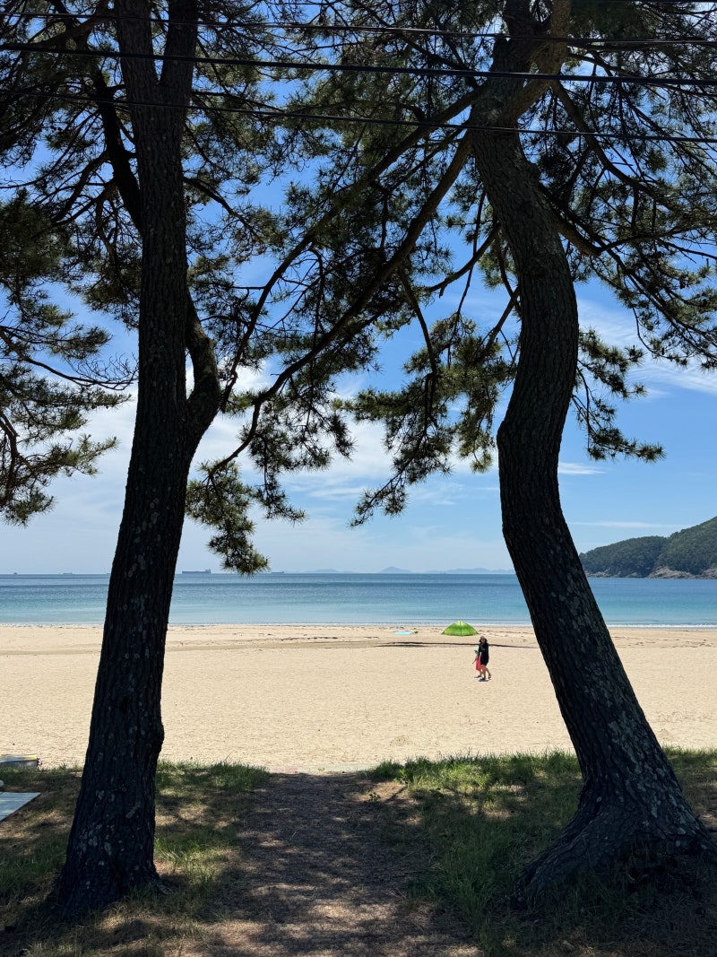 여름맛 가득 패들보드 타기 좋은 남해 송정솔바람해변캠핑장