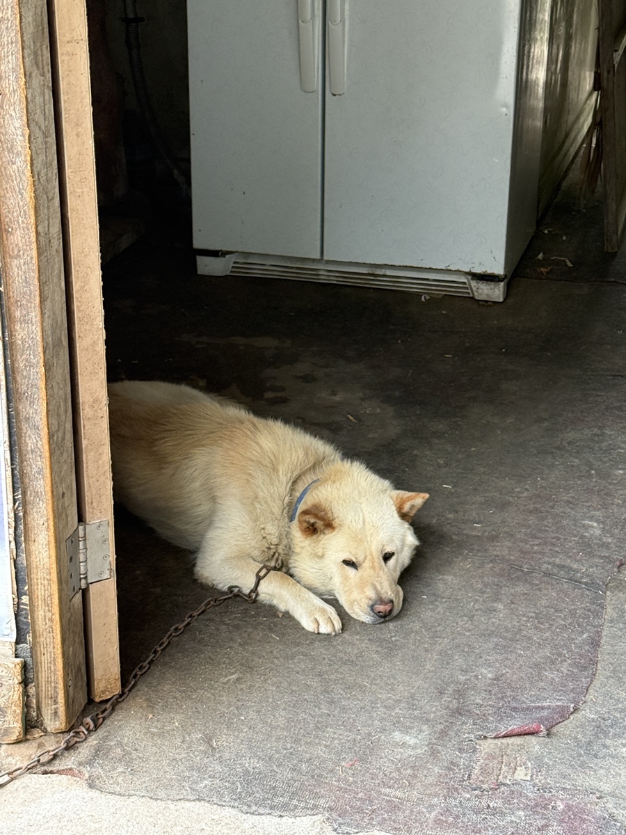 산장가든 사진 3