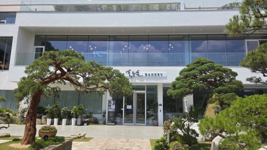 벽오동 천안점 사진 5