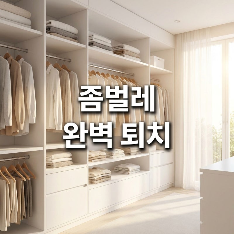 좀벌레 없애는 법, 옷장 벌레 퇴치부터 예방법까지