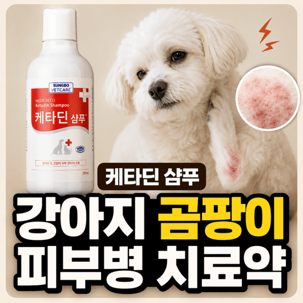 케타딘 샴푸 강아지 고양이 곰팡이 피부병 치료약 [북광주동물약국]