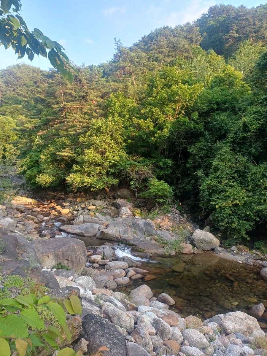 별무리펜션 사진 4