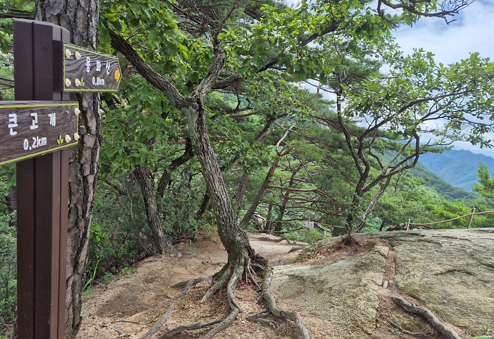양통개울 사진 4