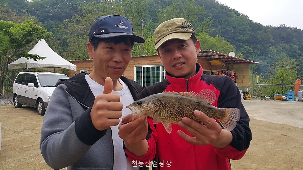 천등산캠핑장 사진 5