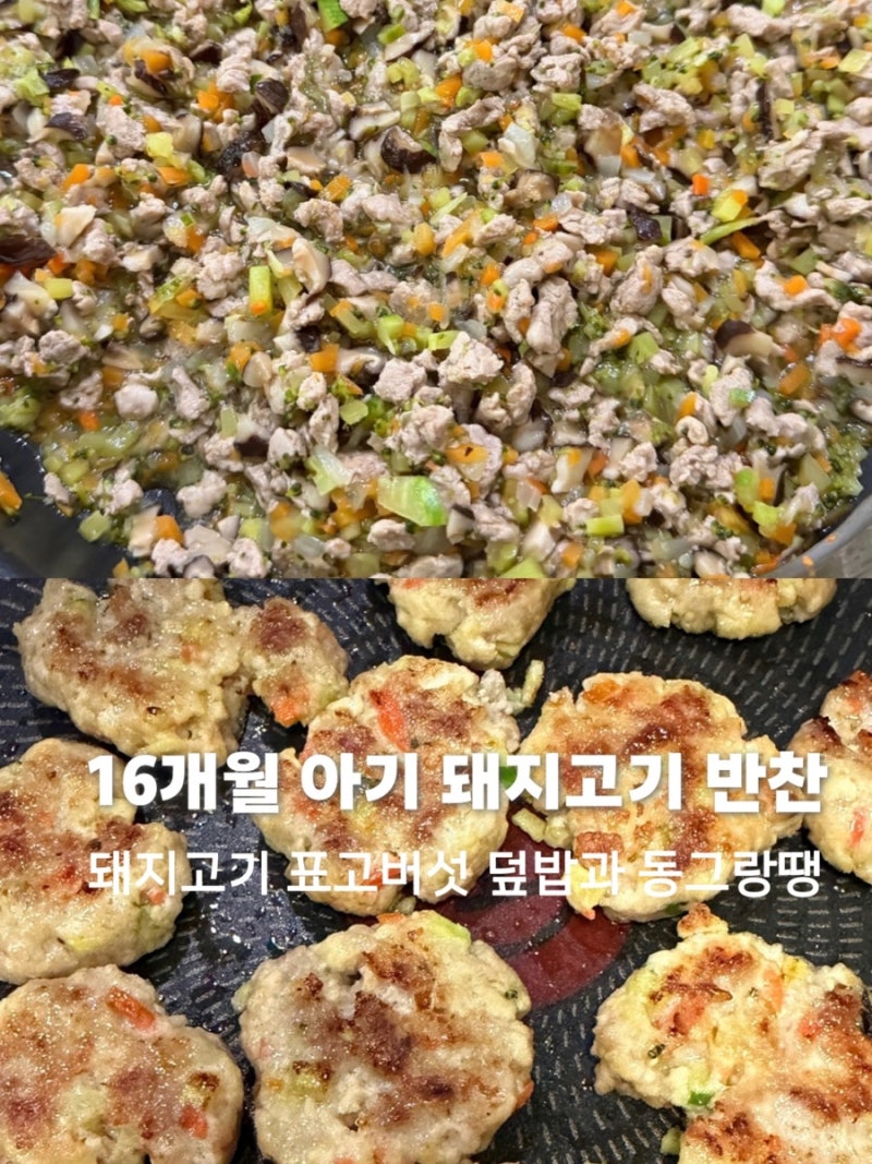 16개월 아기 유아식 돼지고기 반찬 2가지 한 번에 만들기