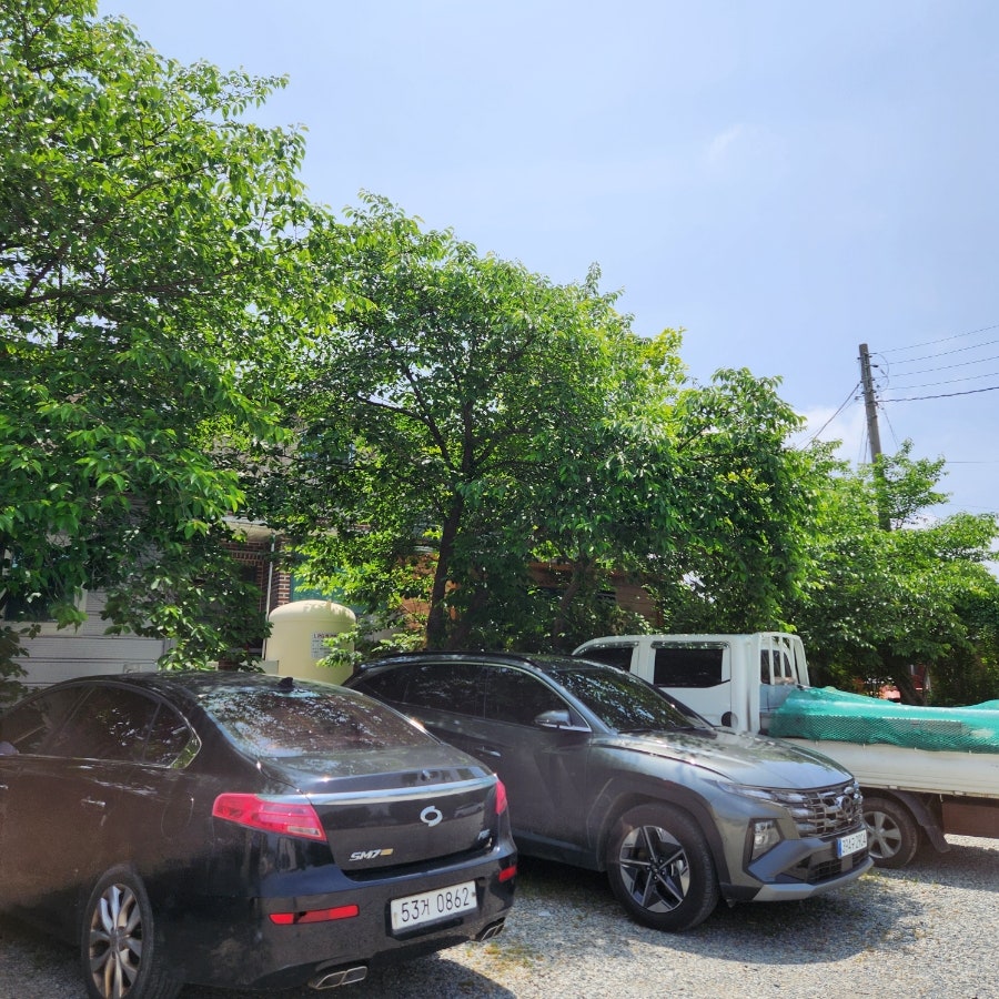 원조시골집순대 원평원조1호점 사진 3