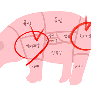 돼지고기 앞다리살과 뒷다리살 차이, 어떤 요리에 사용할까?