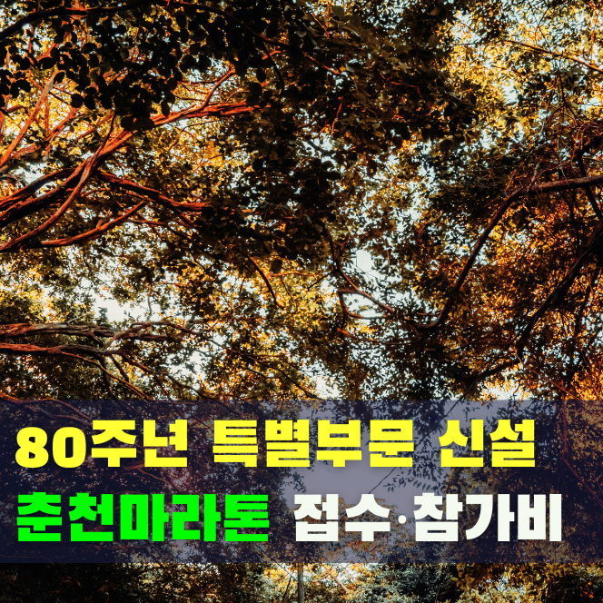  2026 춘천마라톤(춘마) 접수 일정 안내, 참가비·80주년 특별 접수, 얼리버드까지