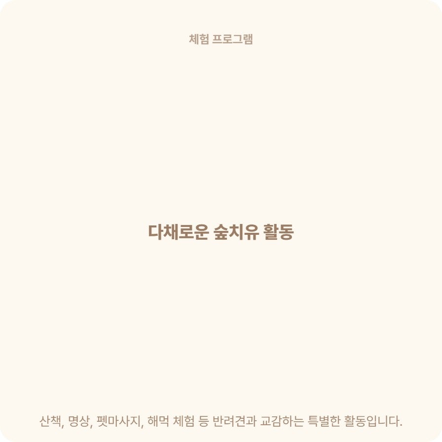 국립양평치유의숲 사진 6