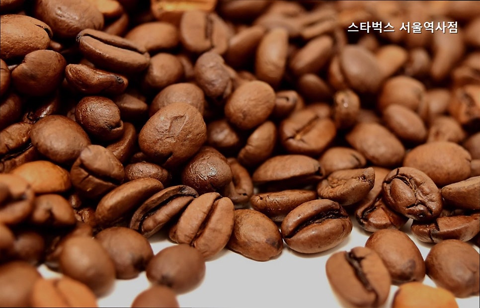 스타벅스 서울역사점 사진 2