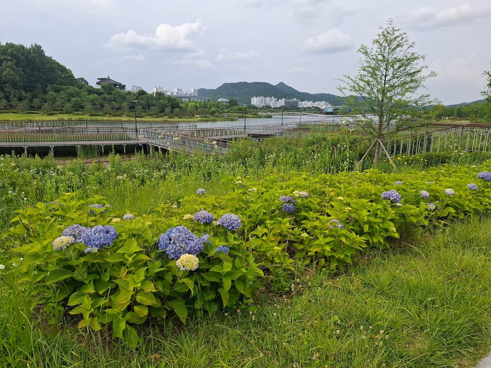 송담만리전시관 사진 1