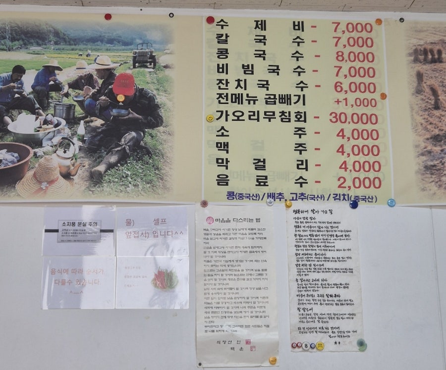 서순자 손수제비 사진 5