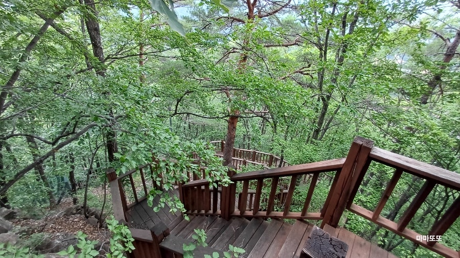 근산 사진 4