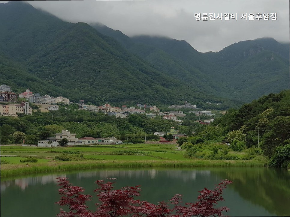 명륜진사갈비 서울후암점 사진 2