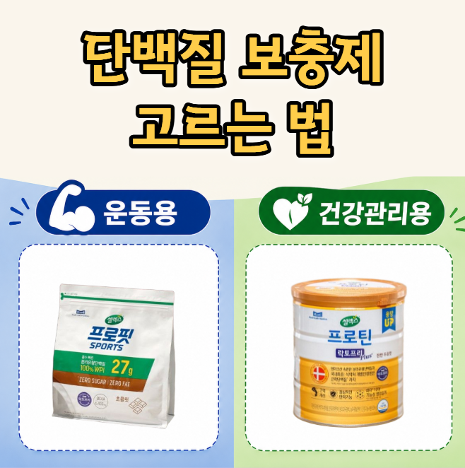  셀렉스 단백질보충제 효과 모델별 차이점 (영양 vs 헬스)