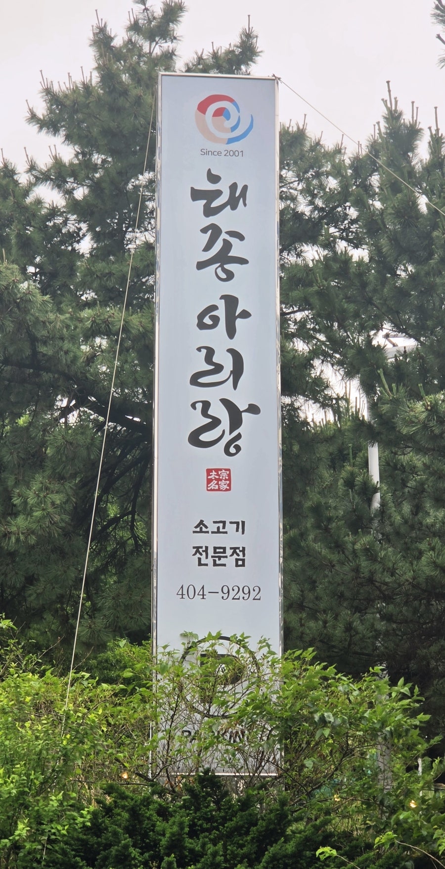 태종아리랑 사진 2