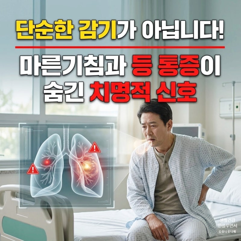 단순 감기와 담이 아니다? 마른기침과 등 통증이 보내는 폐암초기증상 신호