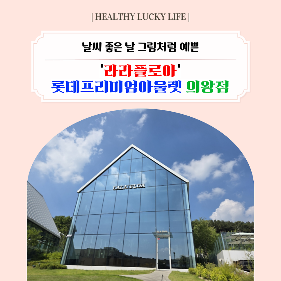 라라플로아 사진