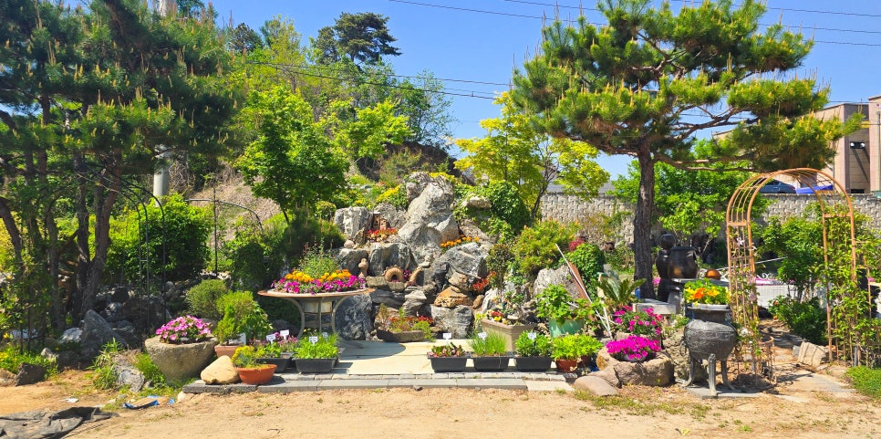 동구밖꽃다육식물원 사진 3