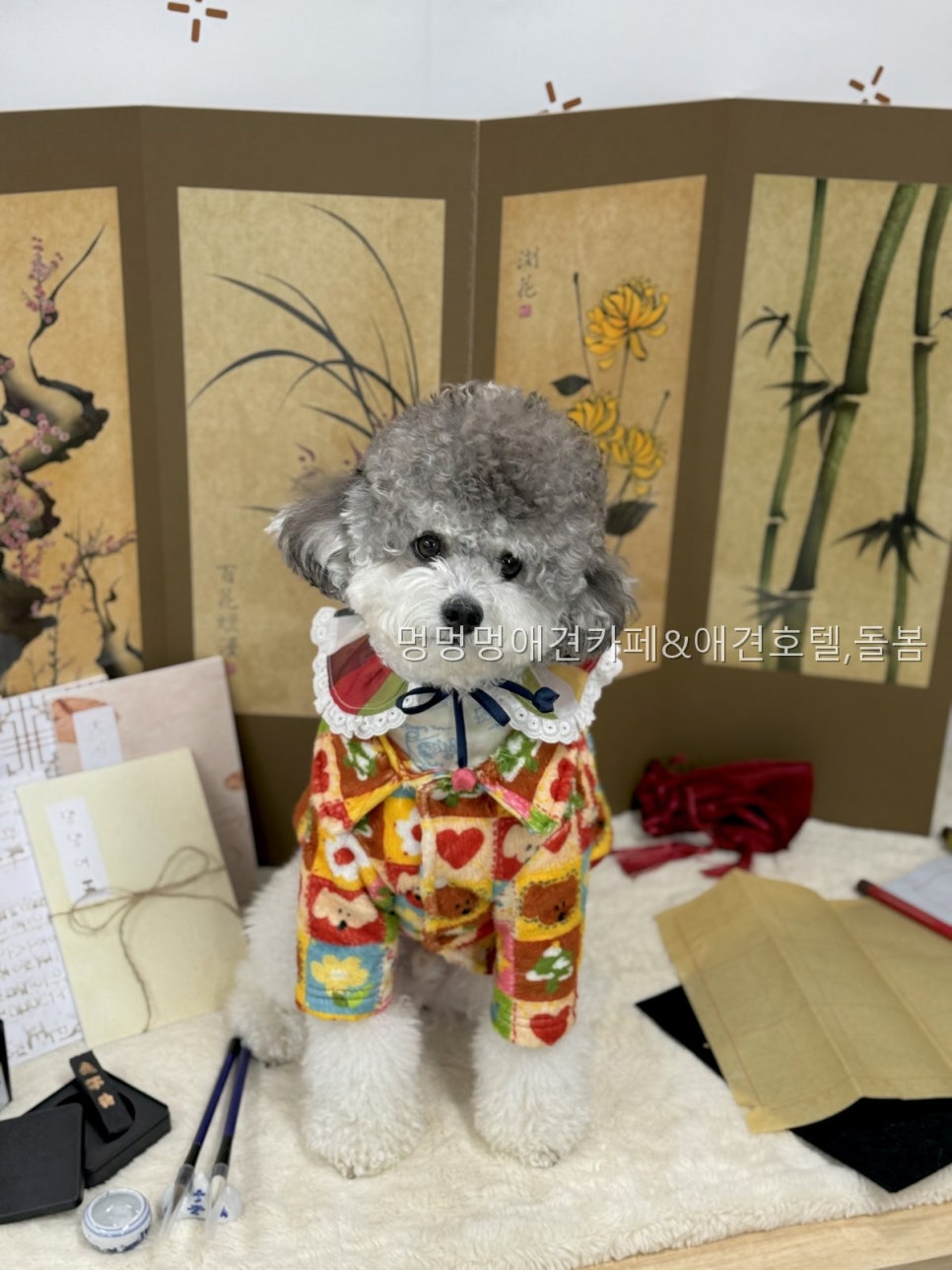멍멍멍애견카페 사진 3