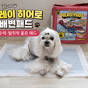 강아지 배변패드 추천! 허레이 히어로 배변패드 대형 후기