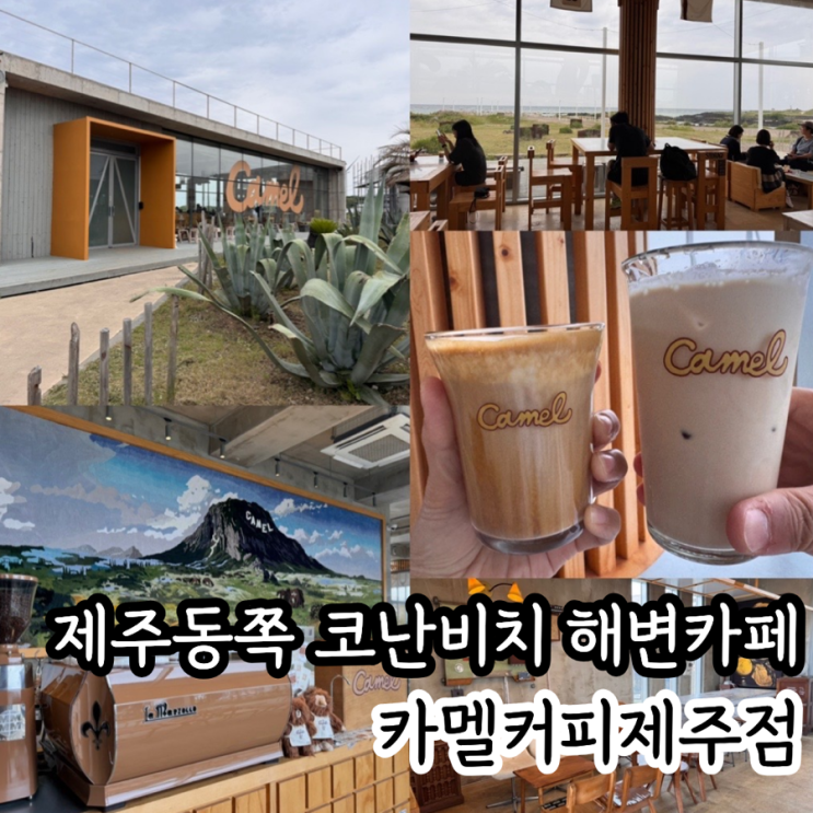  제주동쪽카페 제주 구좌 코난비치해변 오션뷰 카페 <카멜커피 제주점 > 평일 방문 후기 및 메뉴추천 (+ 메뉴, 맛, 분위기, 주차, 웨이팅 정보 등)
