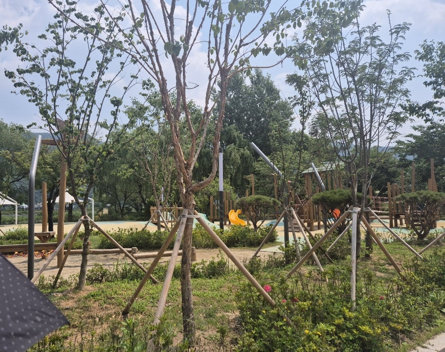 꽃사랑 사진 5