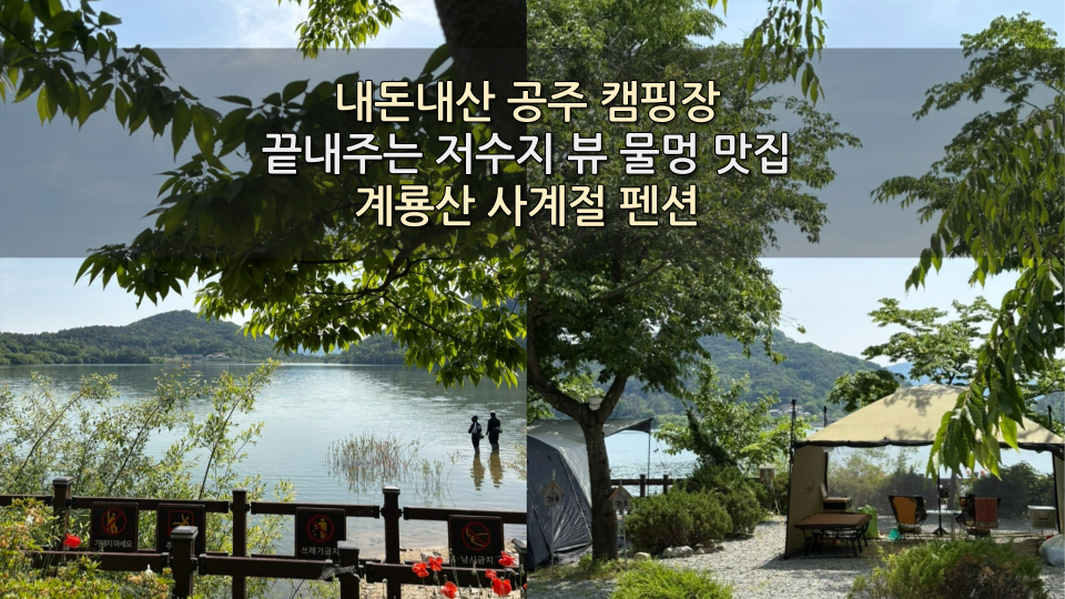 계룡산사계절펜션 사진 1