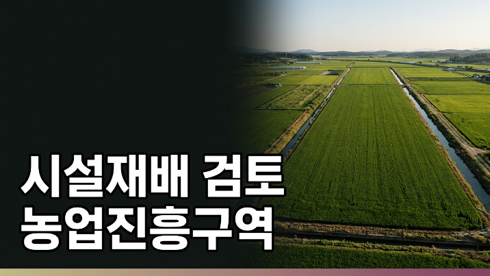  이천시 율면 고당리 농지 2,012, 현장에서 본 토지 특징