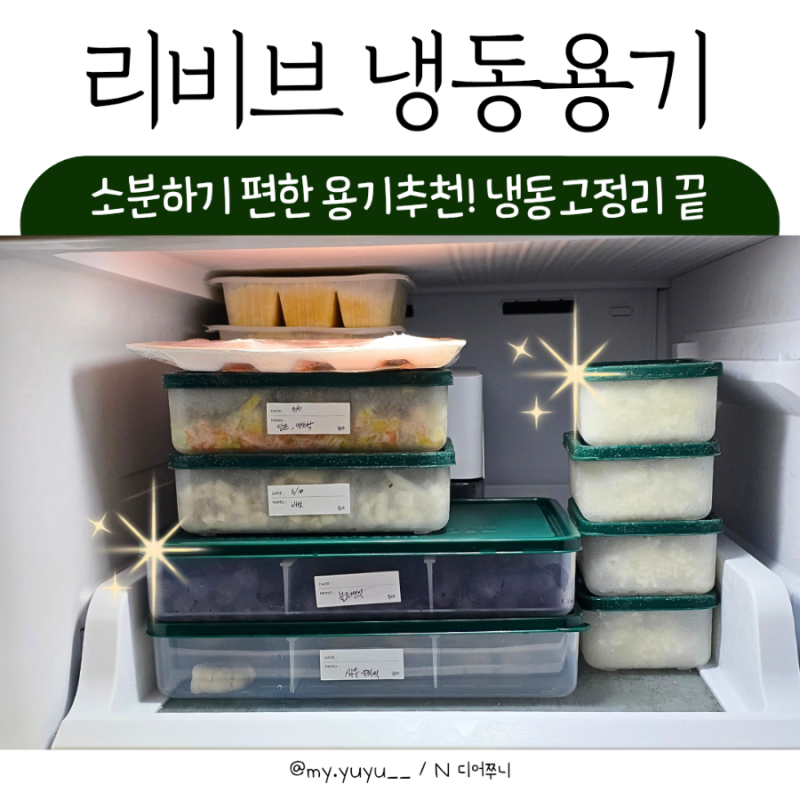 리브비 냉동용기 사용 후기 소분하기 편한 칸칸이 냉동용기 추천