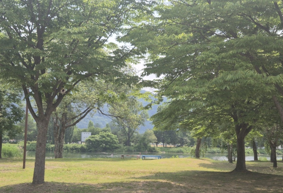꽃사랑 사진 6