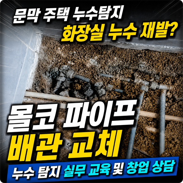  문막 주택 누수 탐지 몰코 파이프 배관 교체 (누수 탐지 실무 교육 및 창업 문의)