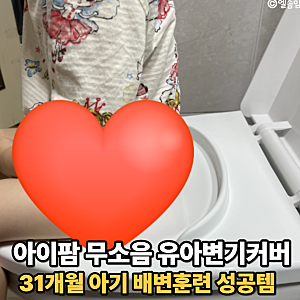 31개월 아이 배변훈련 성공템, 아이팜 무소음 풀커버 유아변기커버 사용후기