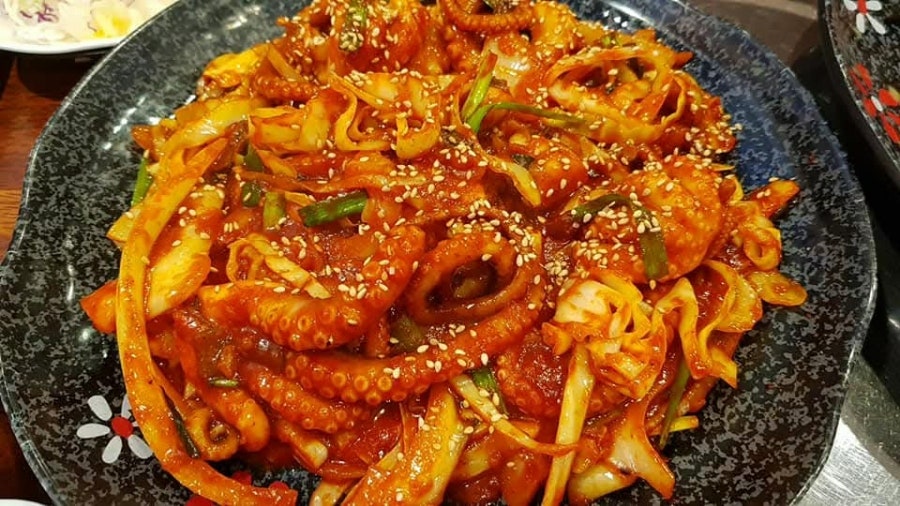 길조 사진 6