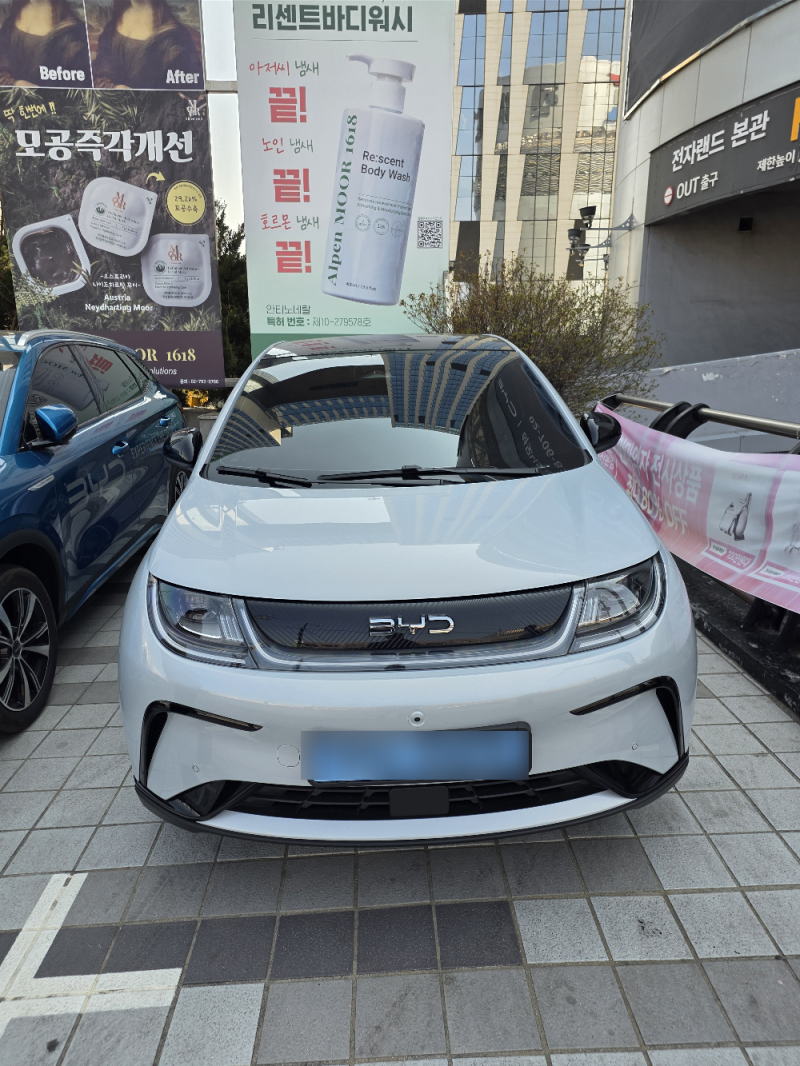 BYD 돌핀 배정 및 컬러 선택기