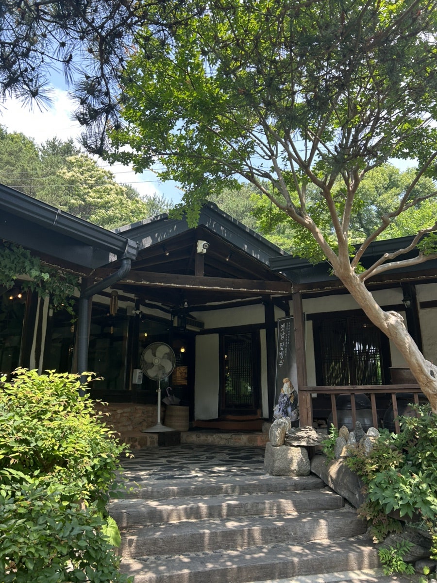 오후의산책 사진 2