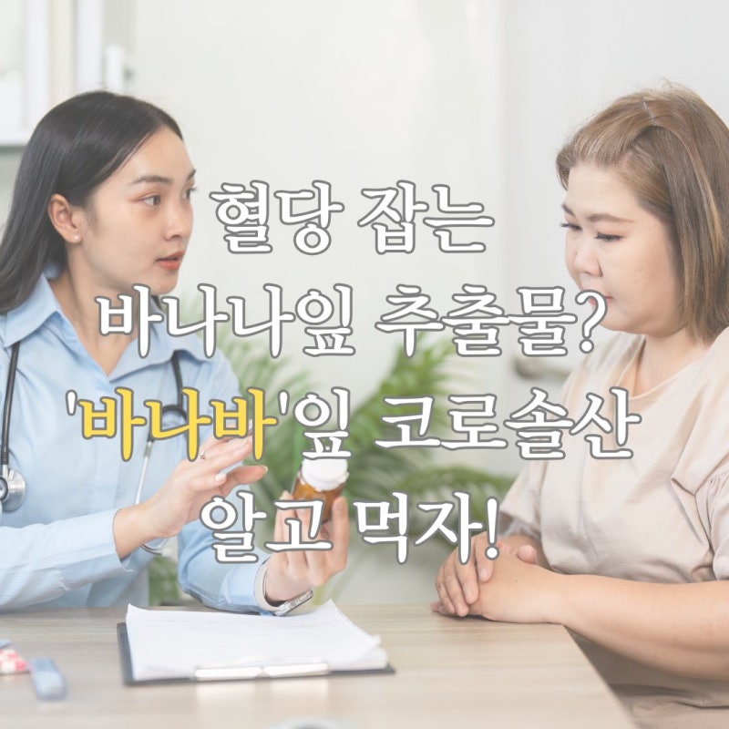 혈당 잡는 바나나잎 추출물? 진짜는 바나바잎 코로솔산