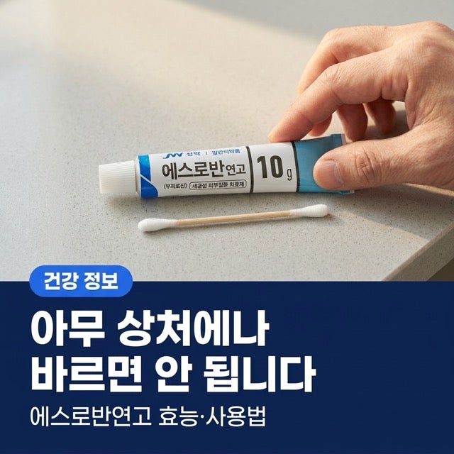 에스로반연고 효능 사용법 주의사항, 약사 설명대로 정리했습니다