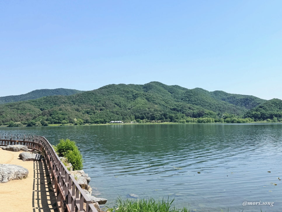 두물머리쌀국수 사진 2