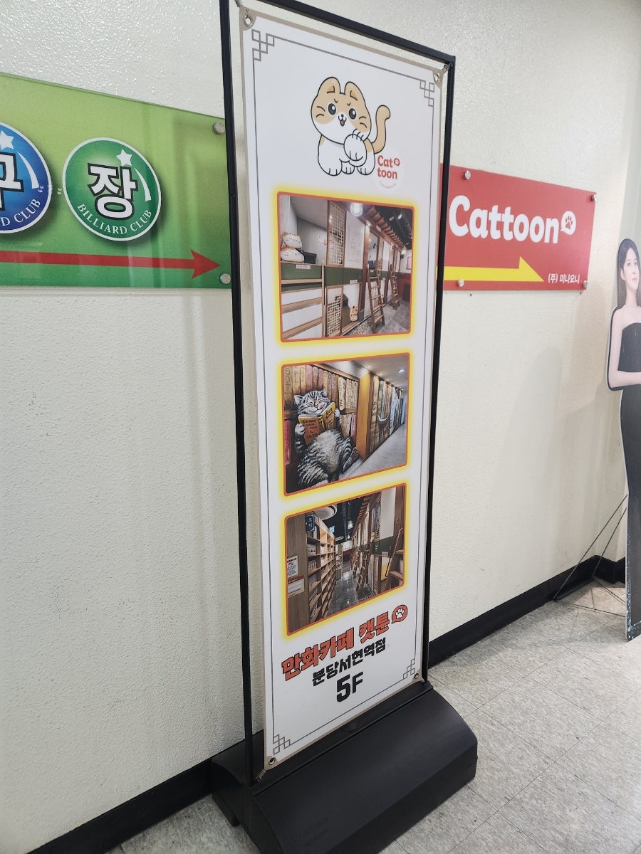 캣툰 분당서현역점 사진 2
