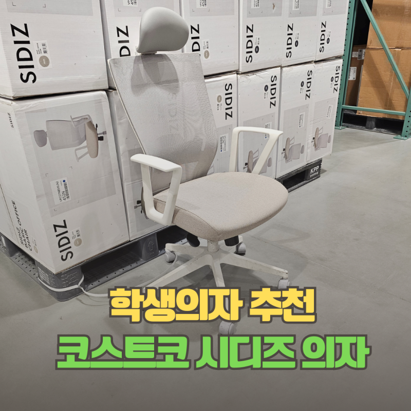 학생의자 추천 코스트코 시디즈 베이직 사무용의자 할인