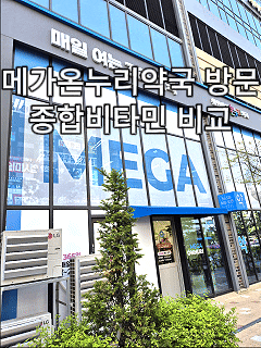  비맥스 제트 임팩타민 비교｜가격·성분·효능 차이 및 메가온누리약국 구매 후기