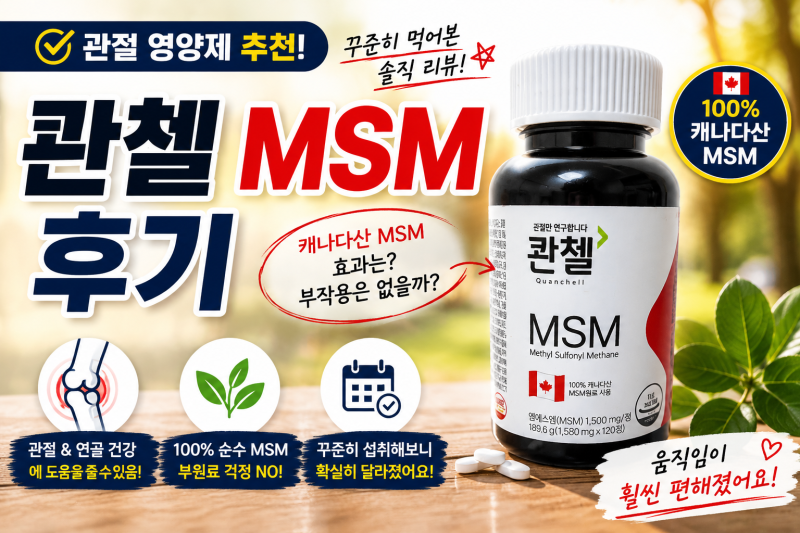 콴첼 MSM 후기｜관절 영양제 추천, 캐나다산 MSM 꾸준히 먹어본 솔직 리뷰